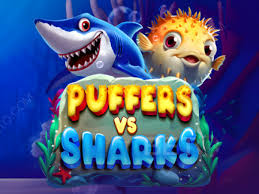 Puffers vs Sharks